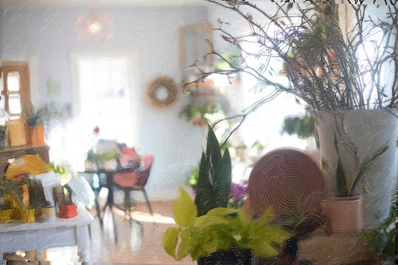 *DSC_0675