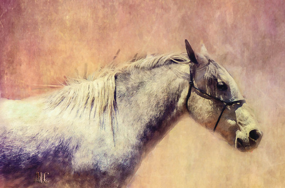pbpbrandtwoRDSC_8205 copy