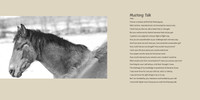 Mustang Walk1 copy