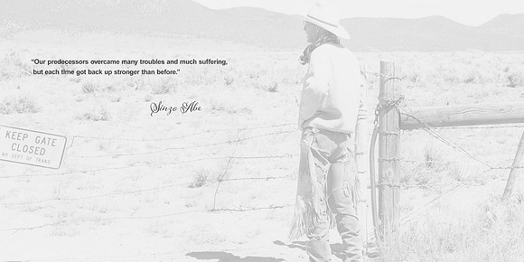 Zenzio quote