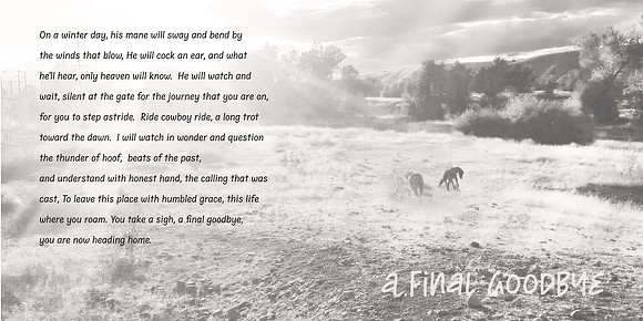 *move horsesA Final Goodbye, Kathy Moss