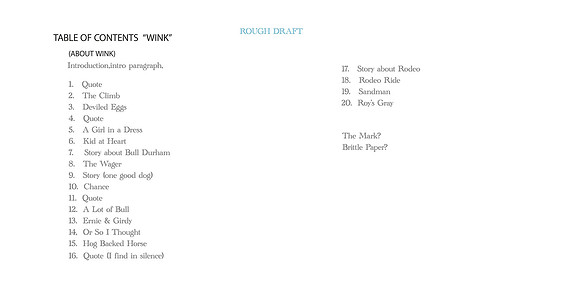 TABLE OF CONTENTS ROUGH DRAFT copy