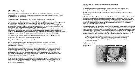 Introduction ds (edit with original) copy