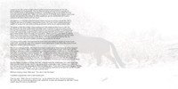 Hog Back Horse Story ds copy