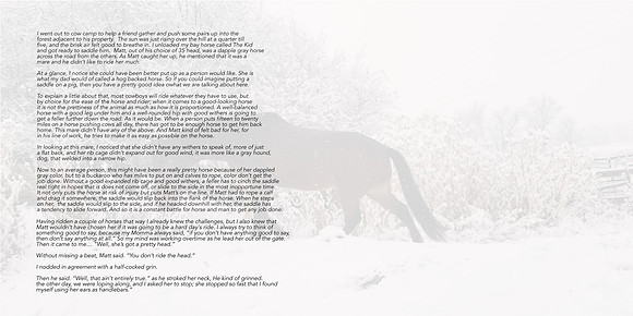 Hog Back Horse Story ds copy