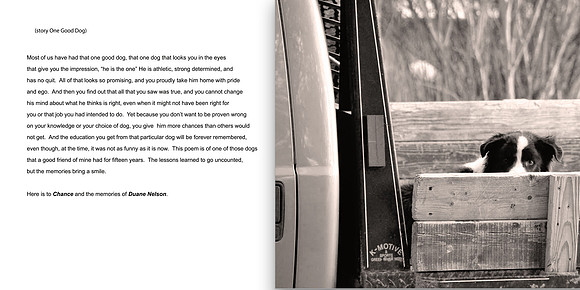 One Good Dog Story ds copy