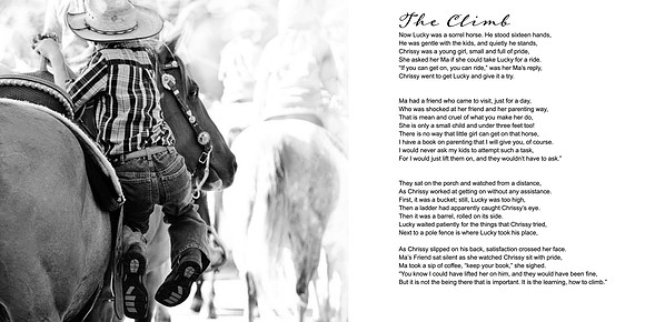 The Climb ds copy