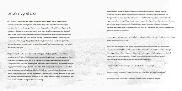 A lot of Bull STORY copy