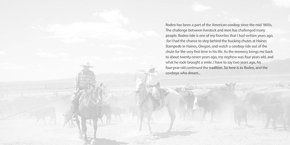 Storyabout rodeo copy