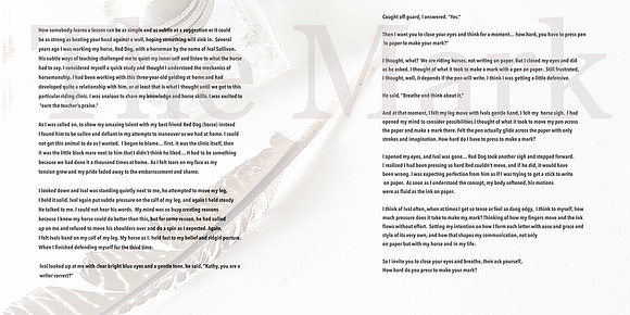 The Mark(being updated) ds copy