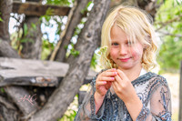 ***SIGVLVIADSC_9727