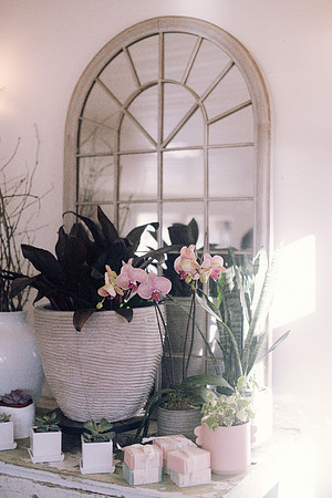 DSC_0673